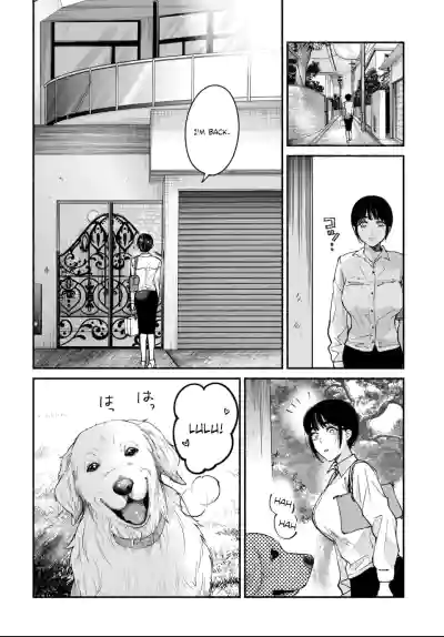 Page 247