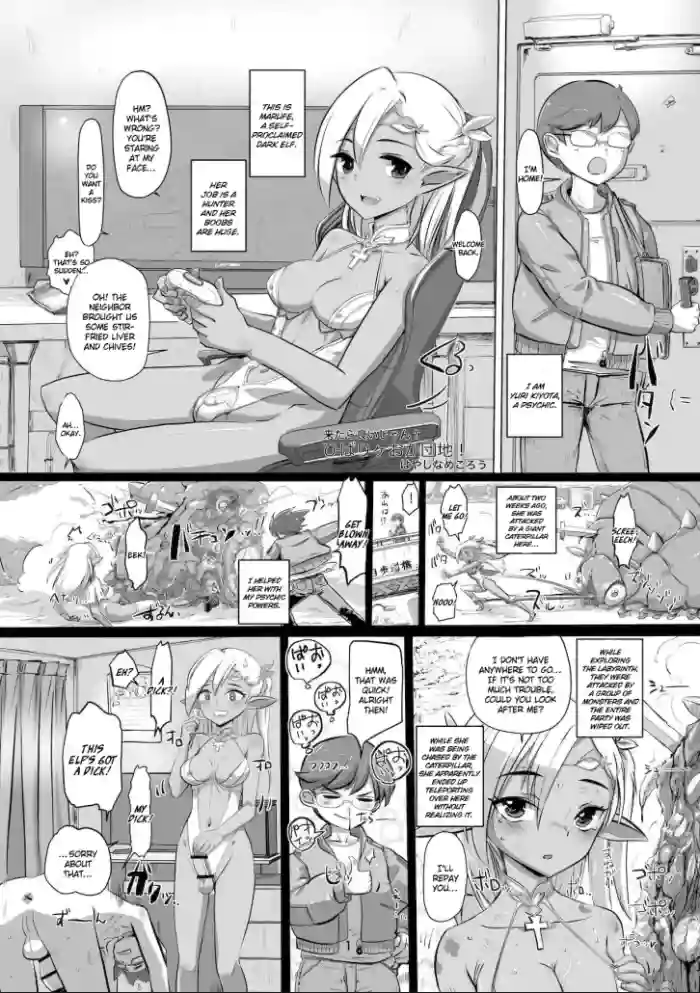 [Hakai Daiteikoku (Hayashi Namegoro) Shemale & Mesu Danshi Goudou-shi SHEMALE C‘ s HAVEN 2 and 3 Ball] Hibarigaoka Housing Complex!