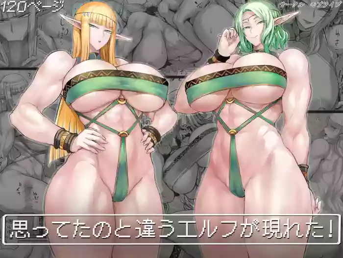 [MobuRaibu (Nishi Shizumu)] An Elf Completely Unlike What I Expected Appeared! [English] [MTL]