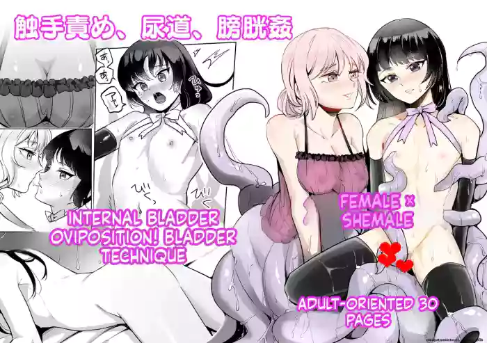 [Seikijou (Seikijou Kai)] Onna x Otokonoko Shokushu Boukoukan Takuran [English] [SCANMTL] cover