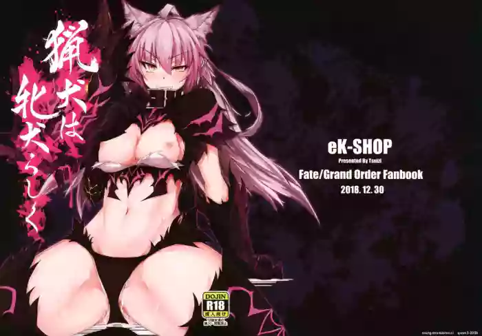 (C95) [eK-SHOP (Tsuizi)] Ryouken wa Mesuinu Rashiku (Fate/Grand Order) (SCANMTL)