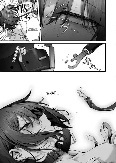 Page 87