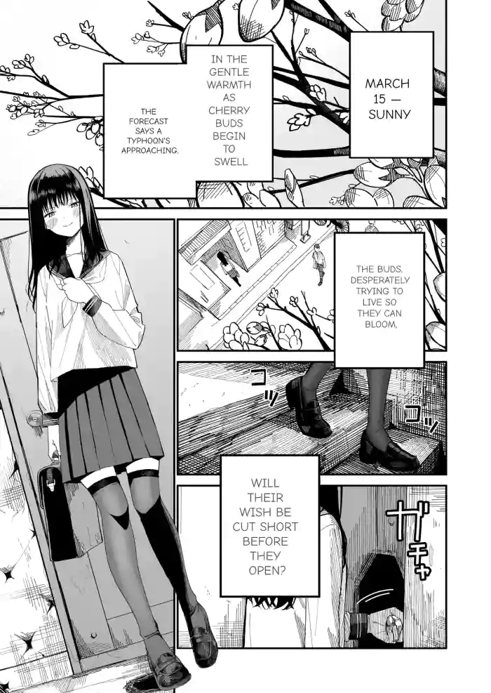 [Mameroku] Mr. Kimura's observation diary cover