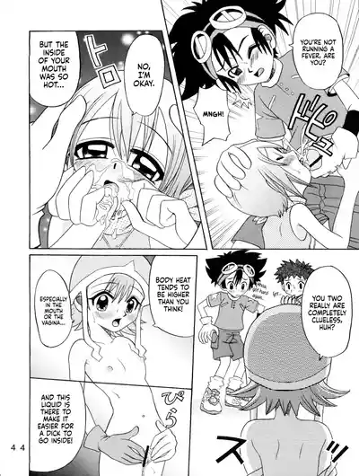 Page 43