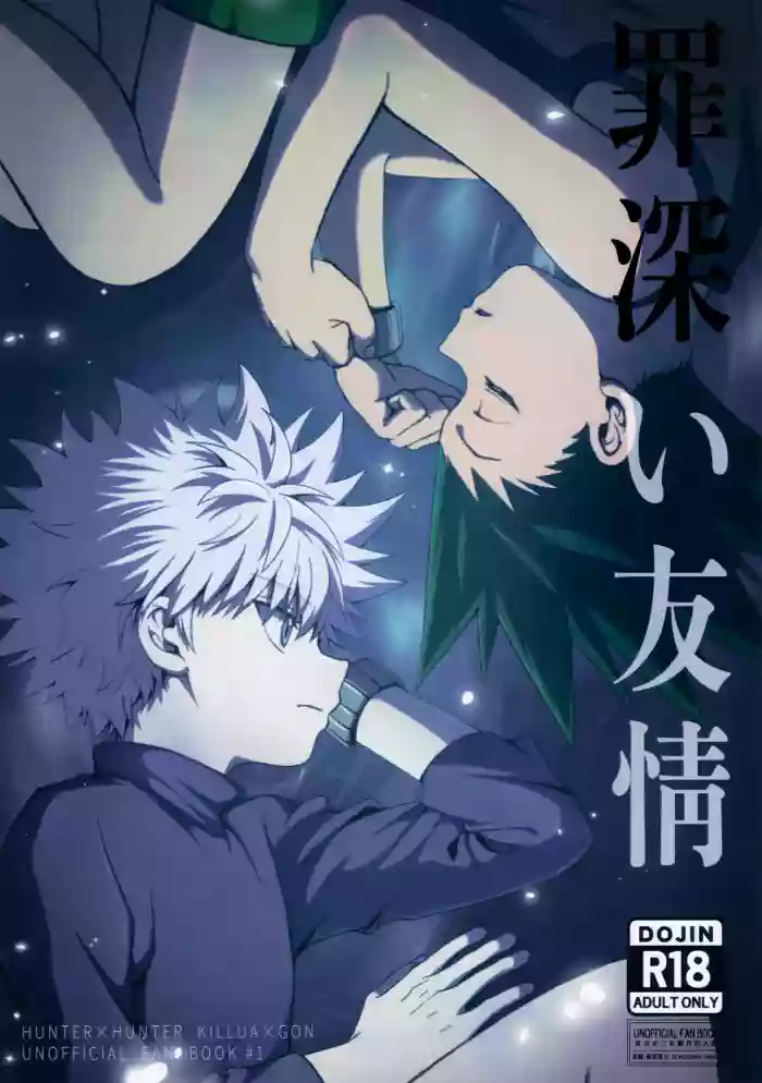 (Re:HUNTER 11) [BLUE HOUR (EMO)] Tsumibukai Yuujou | Immoral Friendship (Hunter x Hunter) [English] {Chin²} cover