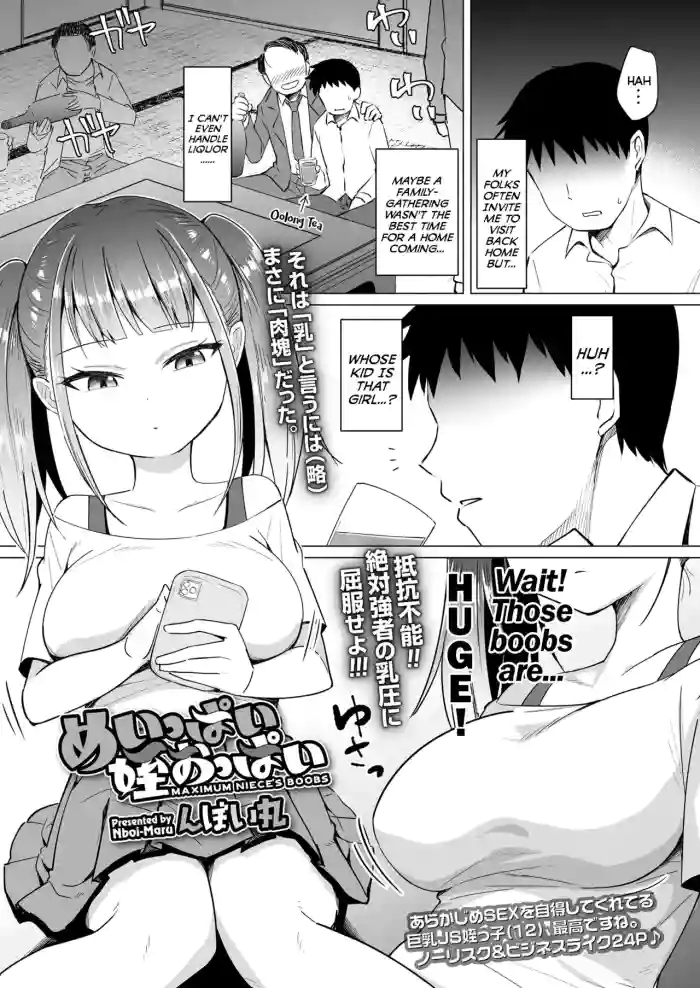 [Nboimaru] Meippai Mei Oppai - Maximum Niece's Boobs (COMIC LOE VOL.2 Bi) [English] {Mistvern} cover