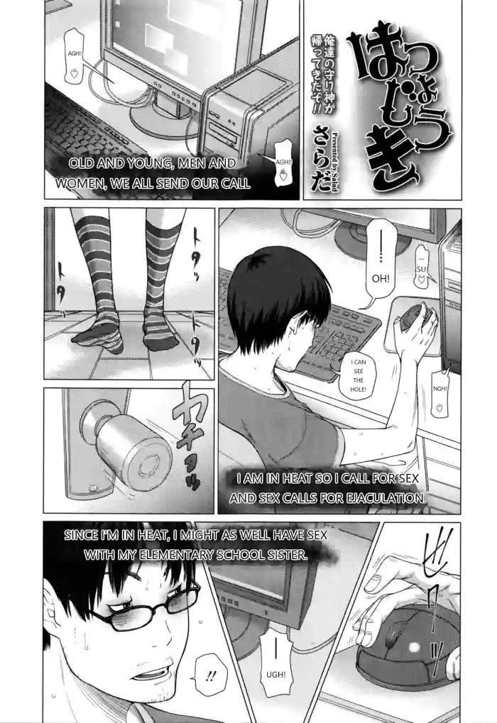 [SALAD] Hanshokuki - Complete [English] [Digital] cover
