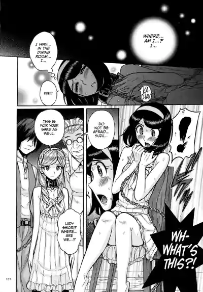 Page 251