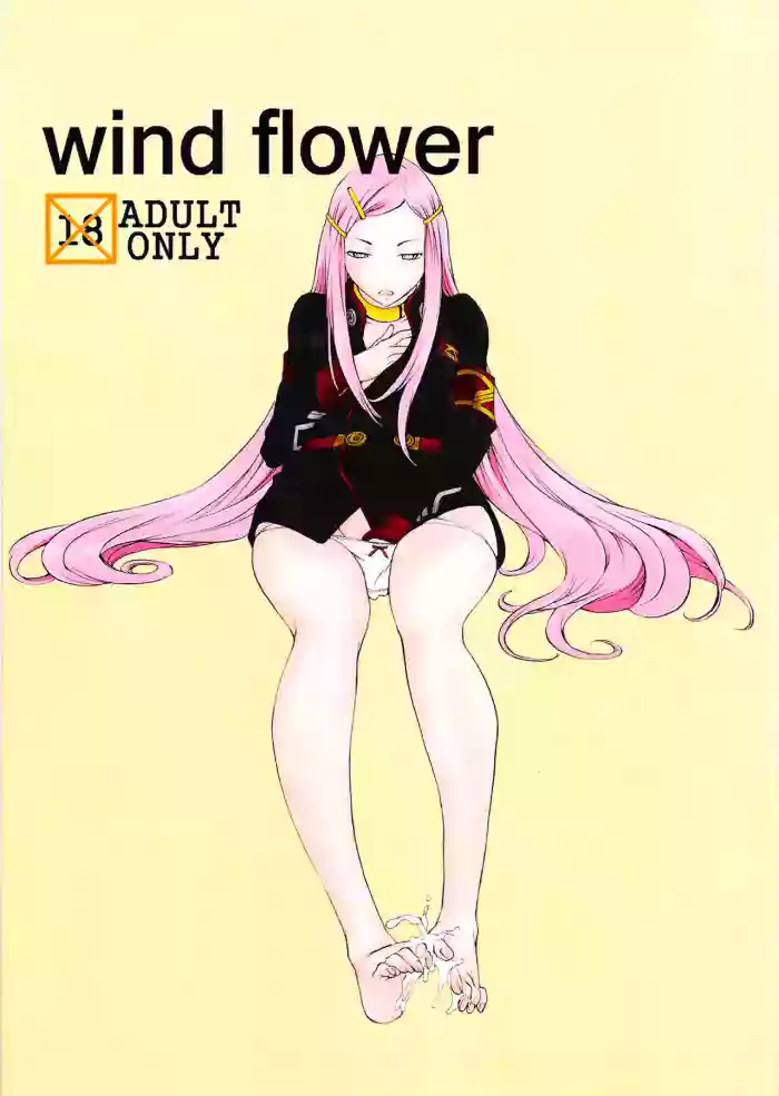 (C75) [Konekodamashi (Harazaki Takuma)] wind flower (Eureka 7) [English] [Kinsei Translations] cover
