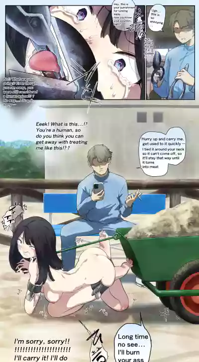 Page 213