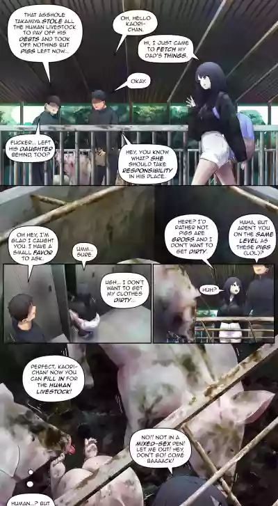Page 264