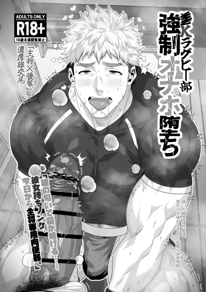 Rugby Club's Fallen Onahole cover