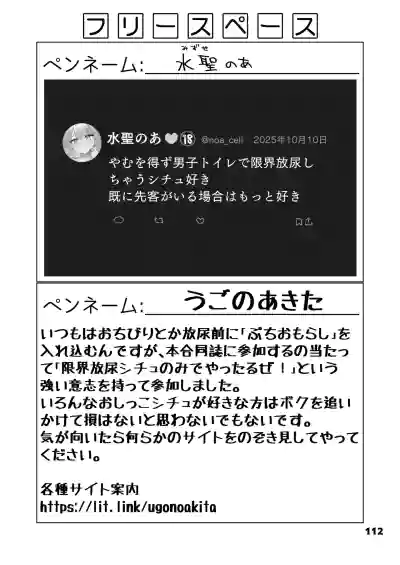 Page 112
