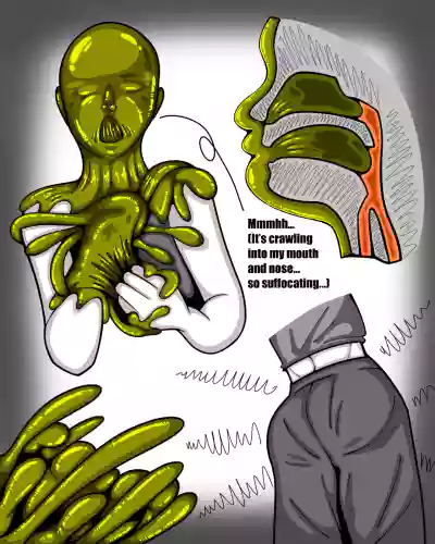 Page 284