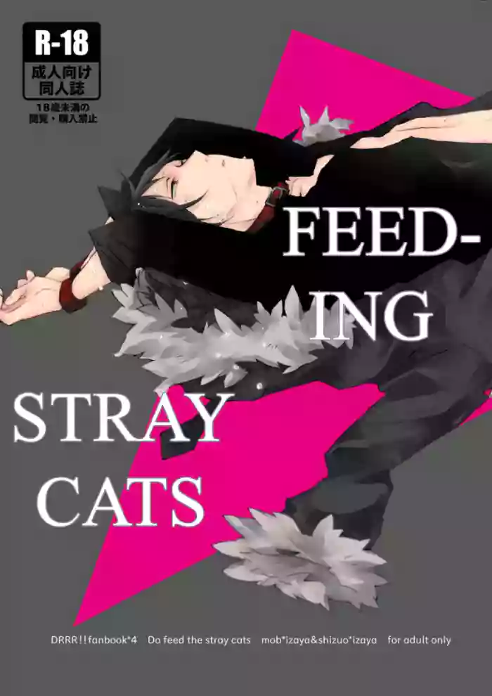 [Sankaku-kuuu] Feeding Stray Cats - Durarara doujin [English] {KCK-Amateur Scans} cover