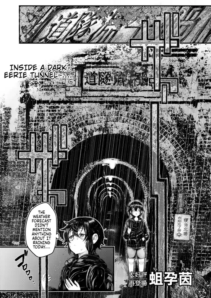 [Ujihara Sitone] Gin no Wadachi (COMIC Kaien VOL.13) [English] cover
