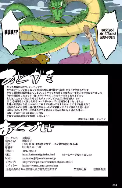 Page 33
