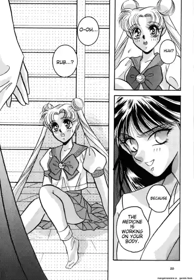 Page 29