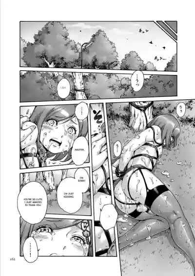 Page 163