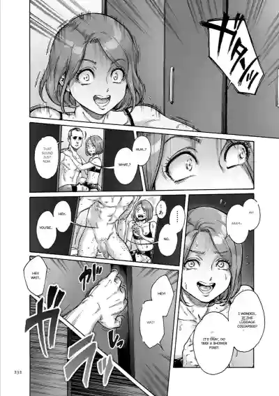 Page 233