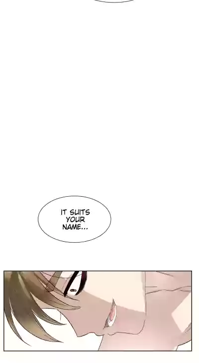 Page 244