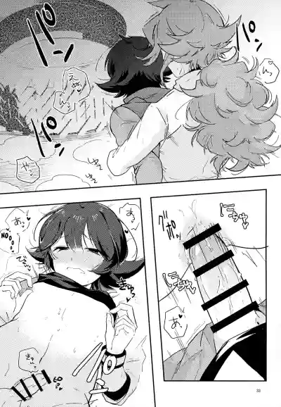 Page 33
