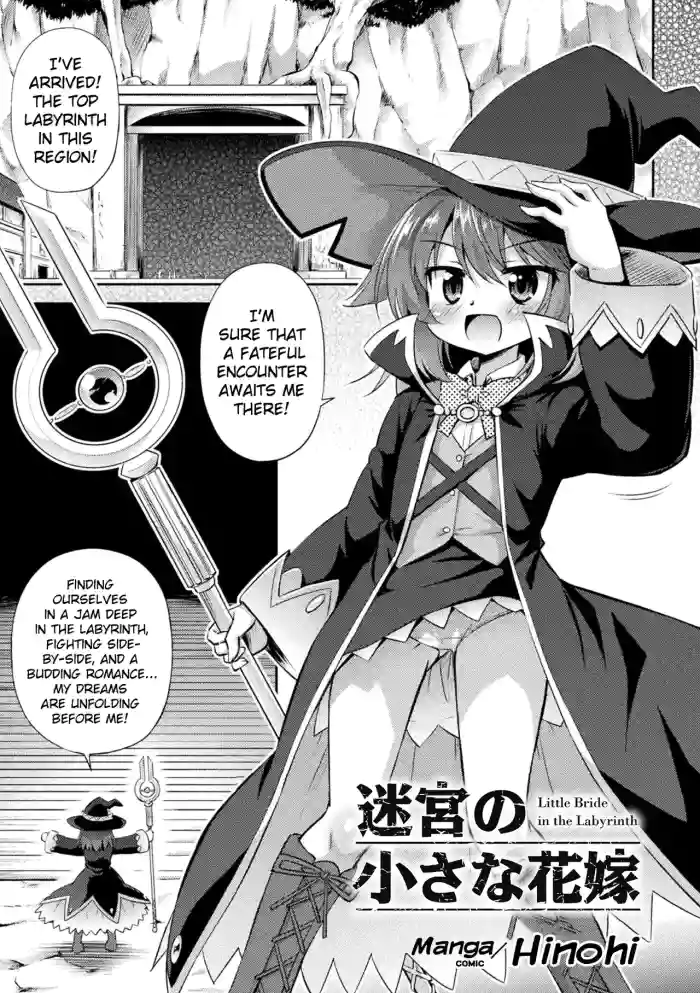 [Hino Hino] Meikyuu no Chiisana Hanayome | Little Bride in the Labrinth (2D Comic Magazine - Shukushouka Heroine Kyousei Onahole Keikaku Vol. 2) [English] [Digital] cover