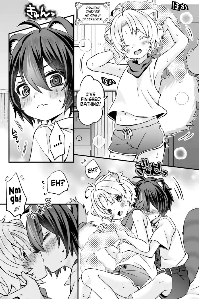 [Rushichi] Araiguma to Ferret no Otokonoko-tachi no Manga | Ferret and raccoon boys manga [English] [Kinsei Translations] [Decensored] cover