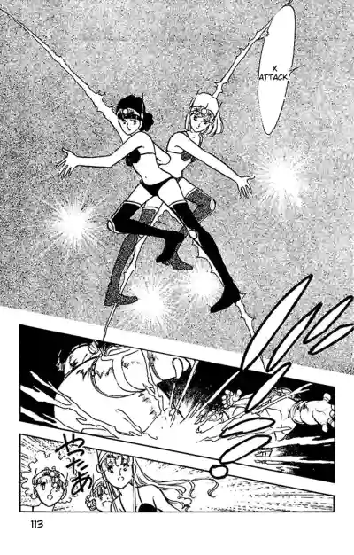 Page 113
