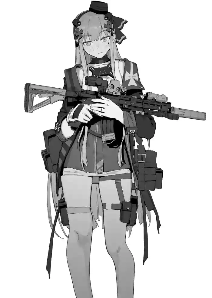 [HUQU] hk416 NTR series cover