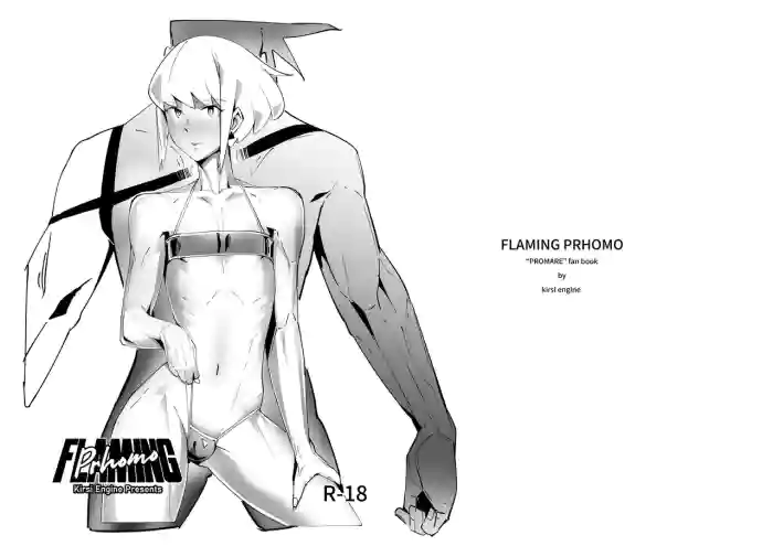 [Kirsi] FLAMING PRhomo cover