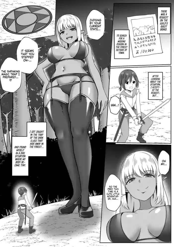 [I-Raf-you (Bullet)] The story about the time I was eaten by an Elf Onee-san (Microne Magazine Vol. 81) [English] [Digital] cover