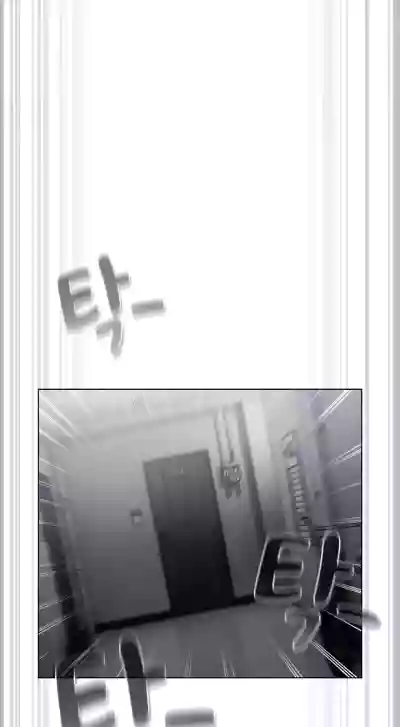 Page 244