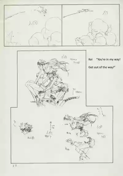 Page 17