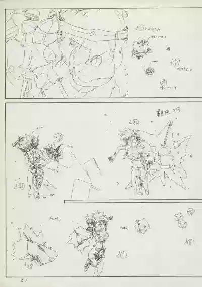 Page 27