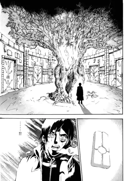 Page 262