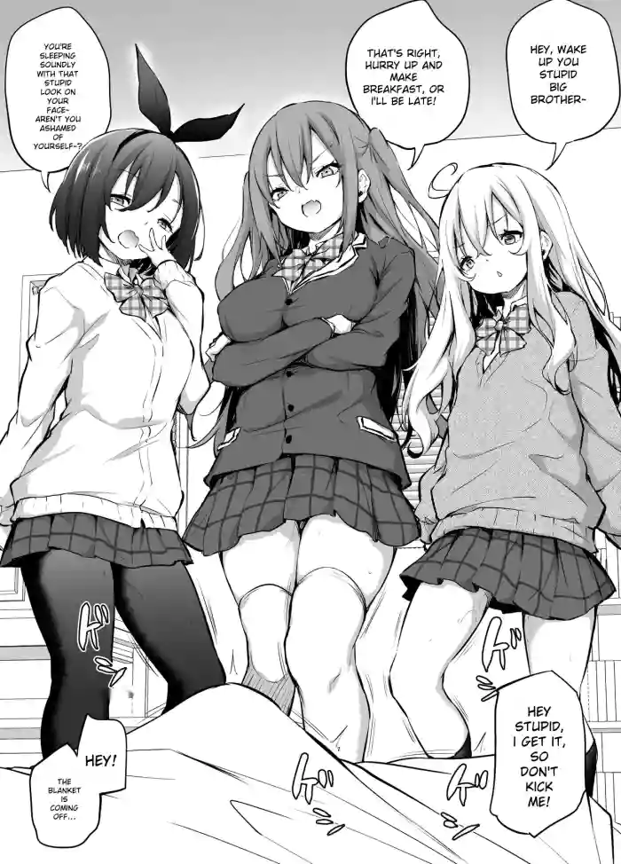 [Airandou] Namaiki Sanshimai [English] [Torii Image Translator] cover