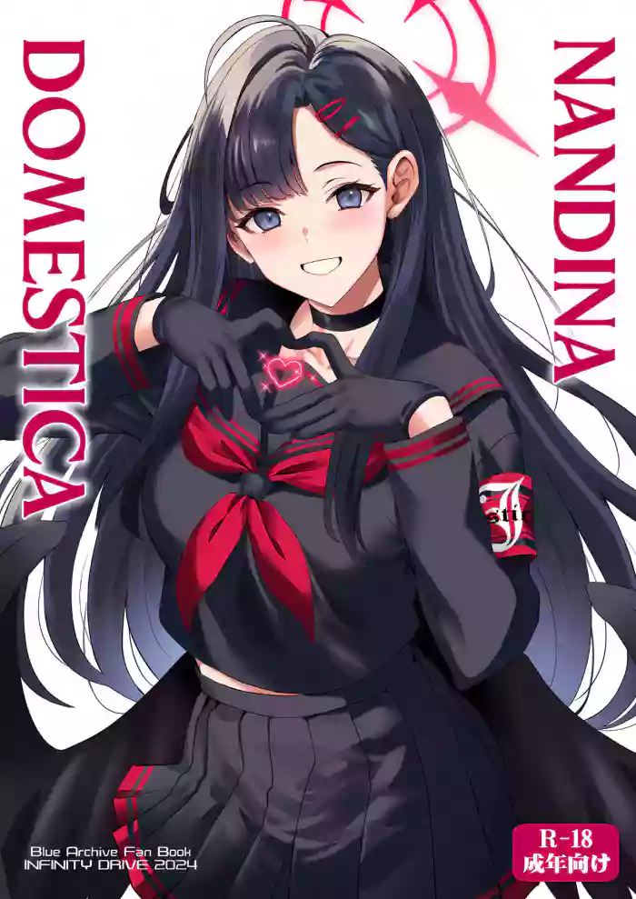 (C104) [INFINITY DRIVE (Kyougoku Shin)] Nandina Domestica (Blue Archive) [English] [LunaticSeibah] cover