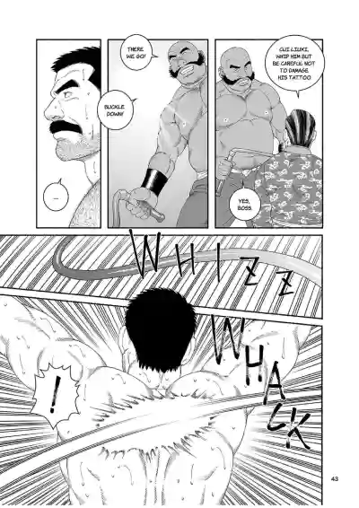 Page 43