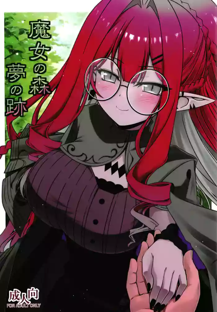 [Koori Ame (Hisame Genta)] Majo no Mori - Yume no Ato (Fate/Grand Order) [English] [Shiririn] [Digital] cover