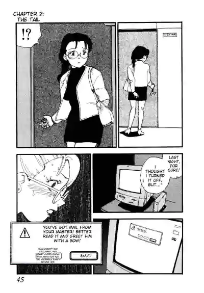 Page 43