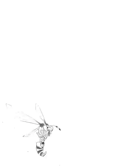 Page 215