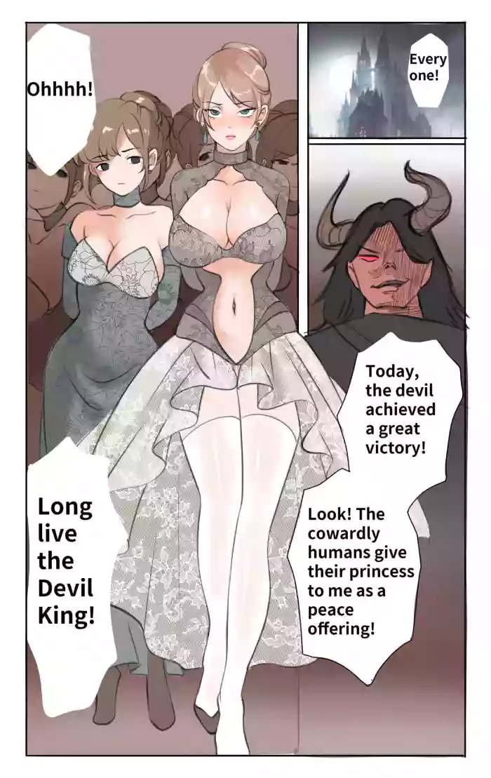 [Midnight] Princess strike back cover