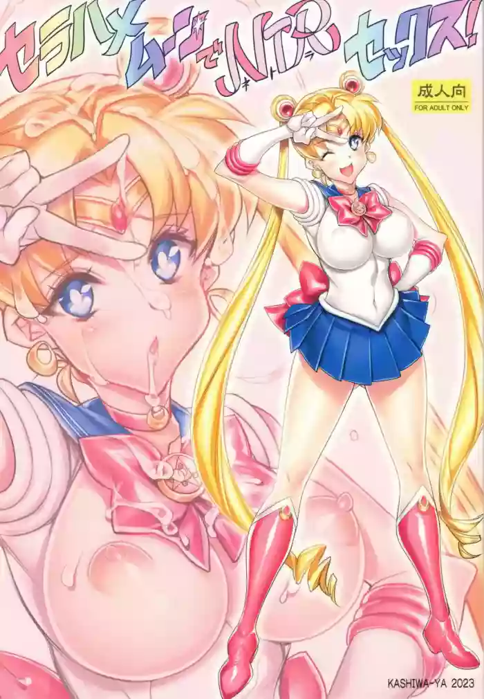 (C102) [Kashiwa-ya (Hiyo Hiyo)] Sera Hame Moon de NTR Sex ! | Sailor Fuck Moon's Netorate Sex! (Bishoujo Senshi Sailor Moon) [English] [q91] cover