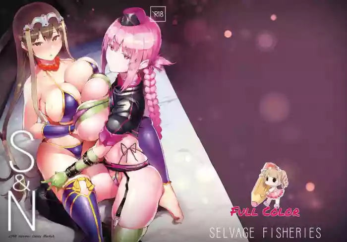 (C94) [Selvage Fisheries (Uo Denim)] S&N (Fate/Grand Order) [English] [Colorized] cover