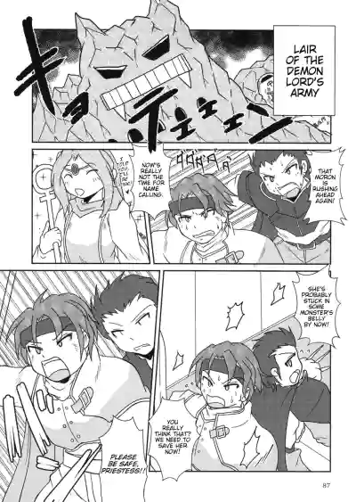 Page 87