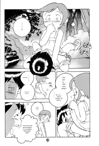 Page 31
