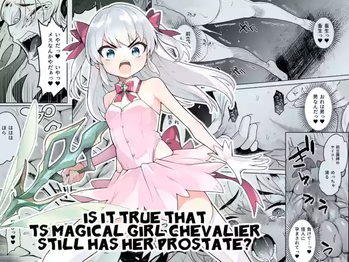 [I'm moralist (Yanagihara Mitsuki, InuSamrai, Kanimura Ebio)] TS Mahou Shoujo Chevalier-chan no Omanko wa Zenritsusen ga Nokotte iru kara Kitsukute Binkan tte Maji desu ka! | Is it true that TS Magical Girl Chevalier still has her Prostate? [English][GTF] cover