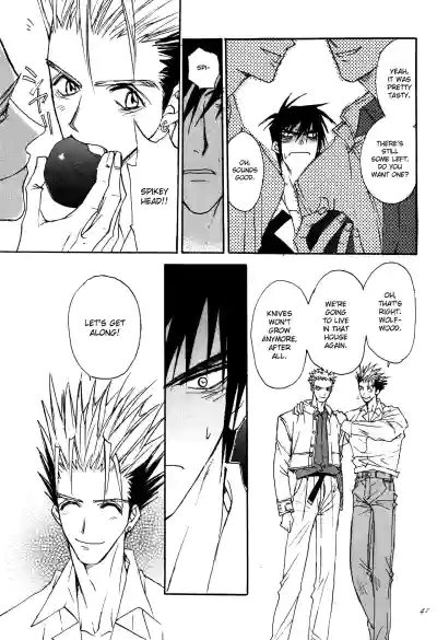 Page 42