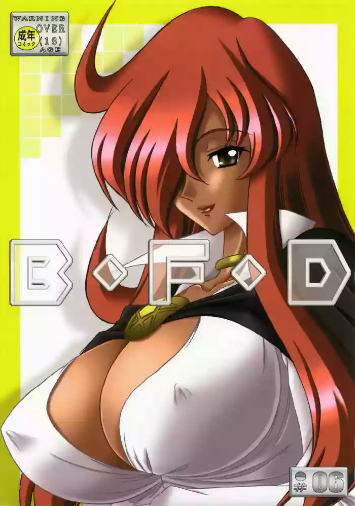 (C73) [Bousou!! Fuhatsudan (Takai Biki)] B.F.D 06 (Zero no Tsukaima) [English] [EHCOVE] cover